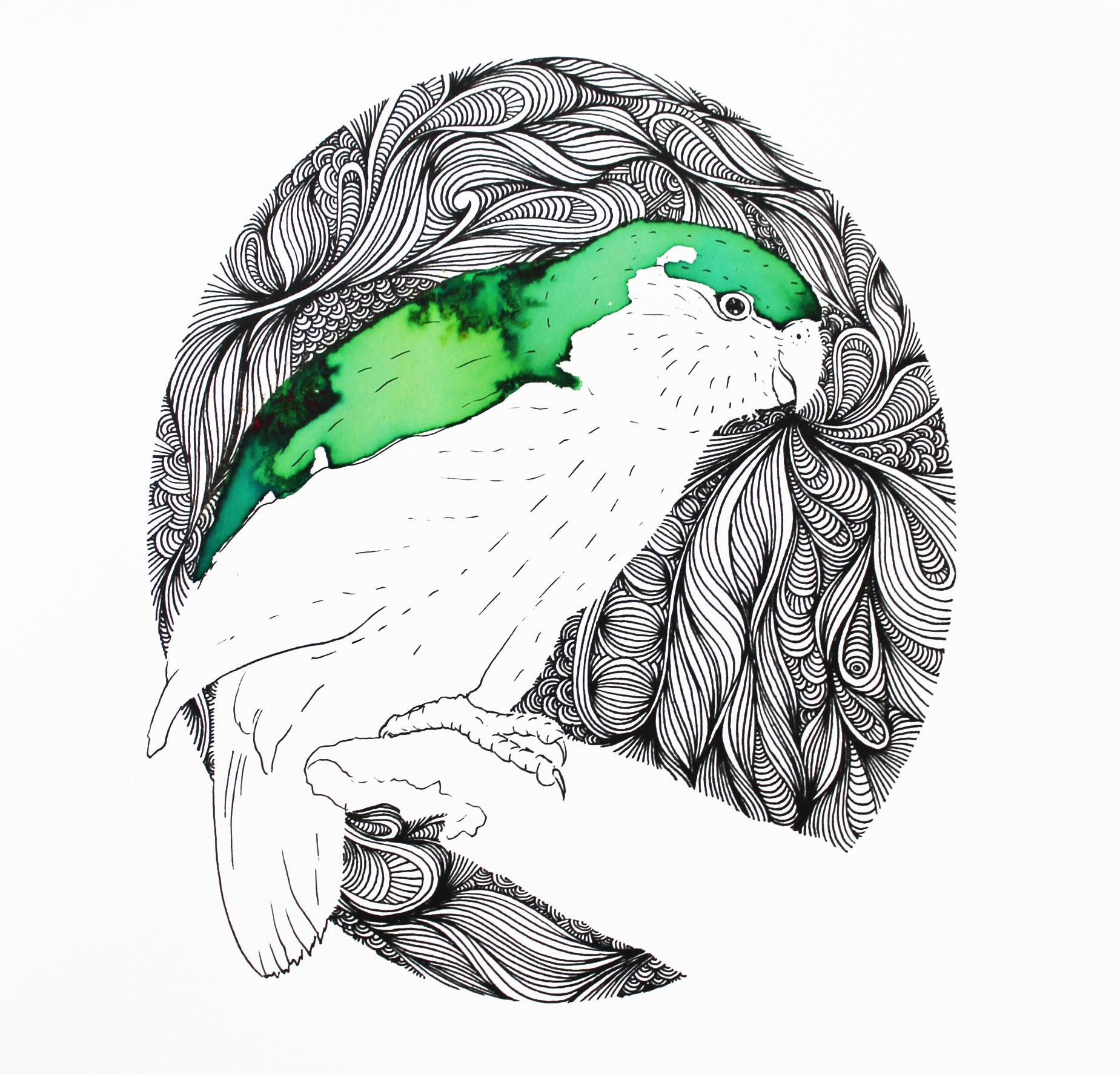 kakapo-print